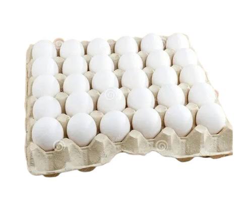 Egg