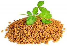 Fenugreek Seed 50g (Vendayam)